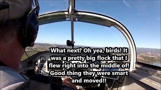 Flying My RV9A Landing WVI close encounter and bird near miss [upl. by Nanon]