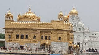 Golden temple travel love ytshorts traveling video [upl. by Balbur359]