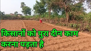 पुरा दीन काम काम।। किसान का हार्ड वर्क।। [upl. by Nueormahc722]