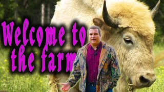 What is a Beefalo Welcome to my family farm [upl. by Lalib]