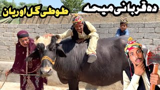 Da Qurbani Meha Eid  New Funny Video 2024 By Tuti Gull Official [upl. by Eb645]