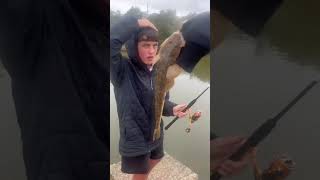 Terrigal lagoon season fishingisacontactsport flathead flatheadfish [upl. by Zahc]