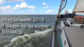 Waddenweek 2018 op de klipper Bontekoe [upl. by Krissie]