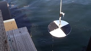 Secchi Disk—Water Quality Test [upl. by Colburn]