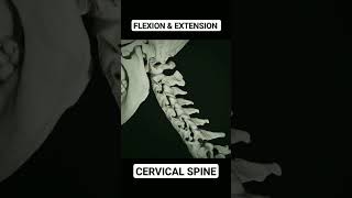 Flexion and Extension of Cervical Spine anatomy innovation cervicalspine [upl. by Honeyman393]