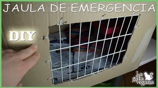 DIY CÓMO HACER UNA JAULA DE EMERGENCIA CON CARTÓN PARA PALOMAS O TÓRTOLAS  HAZLO TÚ MISMO PARA AVES [upl. by Alastair]