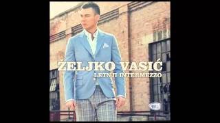 Zeljko Vasic  Zauvek  Audio 2013 HD [upl. by Aiket]