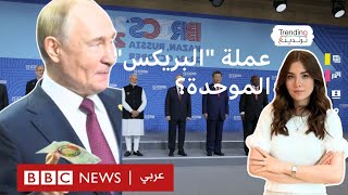 عملة بريكس الموحدة ما حقيقتها وهل تنجح في تنحية الدولار عن عرشه؟ [upl. by Jerrilee]