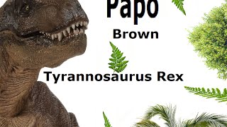 Papo brown Tyrannosaurus Rex [upl. by Ellinad]