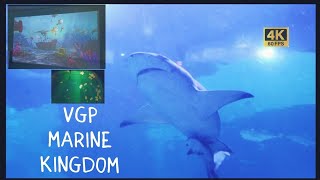 VGP Marine Kingdom [upl. by Chubb432]