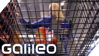 5 Tipps für den perfekten SupermarktEinkauf  Galileo  ProSieben [upl. by Weinert]