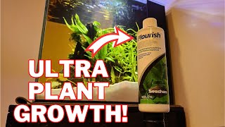 Seachem Flourish Review GROW PLANTS FAST [upl. by Nahtan]