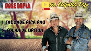 DOSE DUPLA SAUDADE PICAPAU  FOLHA DE URTIGA  oscaipiratop2024 remixsertanejo pancadao [upl. by Jacquelyn]