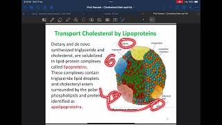 Biochemistry Cholesterol Metabolism [upl. by Zandt]