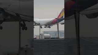 asianaairlines 747 stunning arrival planes aviation airport planespotting shorts fraport [upl. by Aekahs707]