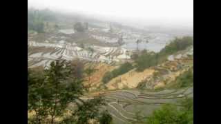 China Terrace Fields in Yuanyang Yunnan 雲南省元陽の棚田 [upl. by Boyt]