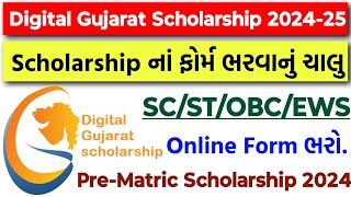 Digital Gujarat Scholarship 202425  Online Form Date 2024  PreMatric Scholarship SCSTOBCEWS [upl. by Pris276]