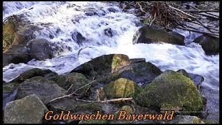 1 Stunde Goldwaschen im Bayerwald [upl. by Adnolahs]