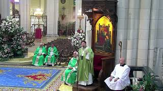 Homilía del cardenal José Cobo en la Misa del Día de la Iglesia Diocesana [upl. by Macfadyn]