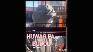 WAG PA BUDOL GCASH SCAMMER NA NAMN [upl. by Armand876]