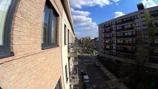 1 hour  A Day in Brussels  Etterbeek  Chaussée de Wavre Belgium [upl. by Ariahs]