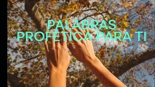 PALABRA PROFETICAS PARA TI fe yeseniathen youtube youtubeshorts amor video diosteama viral [upl. by Maitund85]