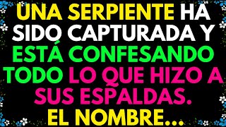 UNA SERPIENTE FUE CAPTURADA Y ESTÁ CONFESANDO TODO LO QUE HIZO A SU ESPALDA EL NOMBRE [upl. by Canotas]