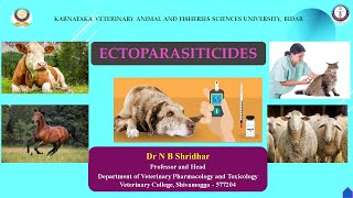 INTRODUCTION TO ECTOPARASITICIDES BY DR N B SHRIDHAR 2862021 [upl. by Akinad]