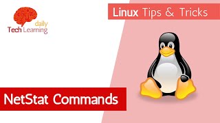 Netstat Command  Tips and Tricks  Linux Videos [upl. by Oberg]