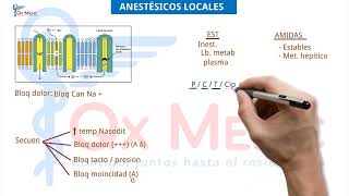 Anestesiología  4 Anestésicos locales [upl. by Sunda650]