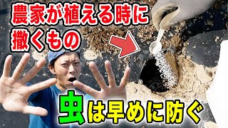 夏野菜につく虫を防ぐ方法 農家が使ってる農薬の種類や使い方・病害虫の話 [upl. by Neveda]