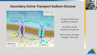 BIOL201 Ch53  Active Transport [upl. by Turnbull641]