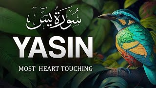 Surah Yasin Yaseen  By Hafiz Quran studio AsSudais  Full With Arabic Text Tilawat  36سورۃ یس [upl. by Utta]