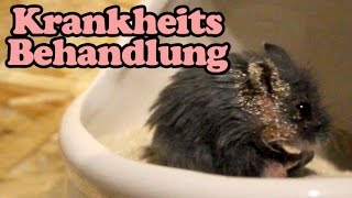 Darthys Pilz Behandlung Folge 01 [upl. by Eleik]