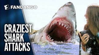 Best Shark Attack Movie Mashup  Movieclips [upl. by Airetas581]