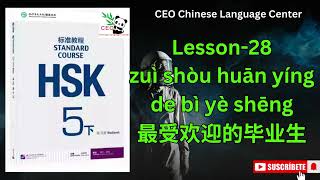 HSK5（下）Standard course 标准教程（练习听力）（Lesson 28） [upl. by Boor]