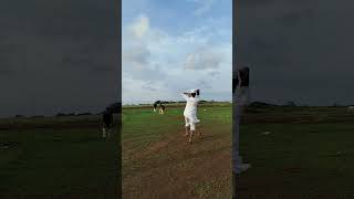 Cricketing shots Batting practice evening practice session cricketshorts cricketfans trending [upl. by Aneekan482]