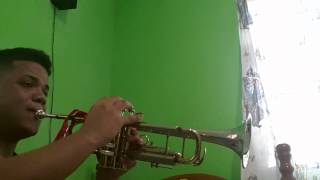 Lone Ranger theme song on trumpet [upl. by Eyks177]