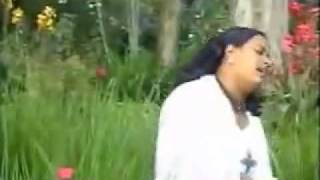 Somalian Music Meseret Belete Ney Belelgn [upl. by Atnim]