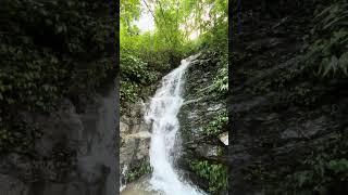 Beautiful Small Waterfall ⋄ Nepal is Beautiful ⋄ MajorToli shorts viral waterfall nature [upl. by Nilad]