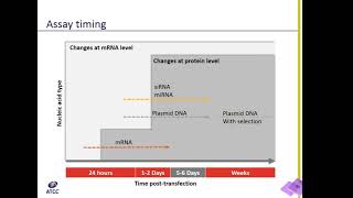 Designing a transfection experiment [upl. by Cyprio829]