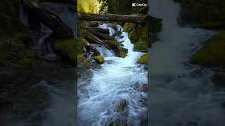 Relaxing Water flowing wealth flowing in your life water wealth [upl. by Cirda]