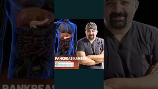 Pankreas Kanseri Nedir [upl. by Rani791]