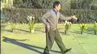 Chen Taijiquan Er Lu Pao Chui  Feng Zhiqiang [upl. by Adiaz]