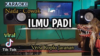 ILMU PADI  KARAOKE VERSI Koplo Jaranan Nada cowok [upl. by Attecnoc]