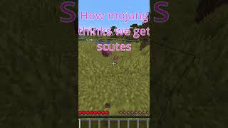 How we get armadillo scutes minecraft minecraft121 minecraftnewupdate minecraftshorts [upl. by Aznola]