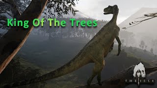 A Solo Herrerasaurus Experience  The Isle Evrima Gameplay [upl. by Nedra]