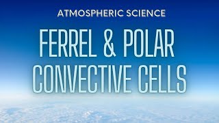 What Are The ‘Ferrel Cell’ amp ‘Polar Cell’ In The Atmosphere [upl. by Scevo486]