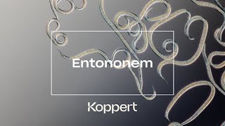 Entonem Koppert [upl. by Rizzi]