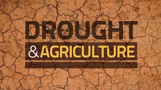 Drought and Agriculture  Predict Plan and Prepare Stop Drought Becoming Famine [upl. by Ynattyrb]